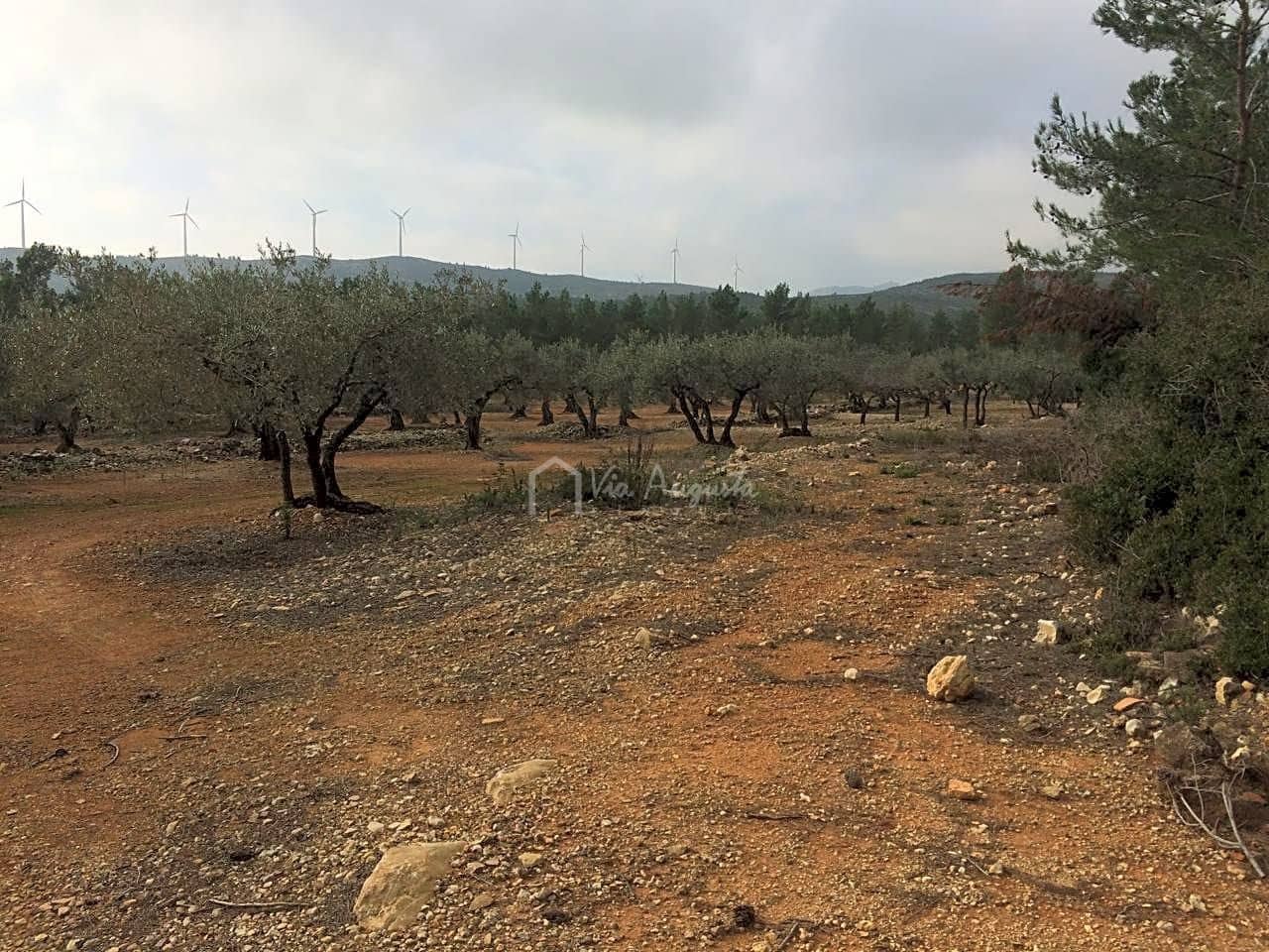Undeveloped Land for sale in El Perello - € 48,000 (Ref: 7733908)