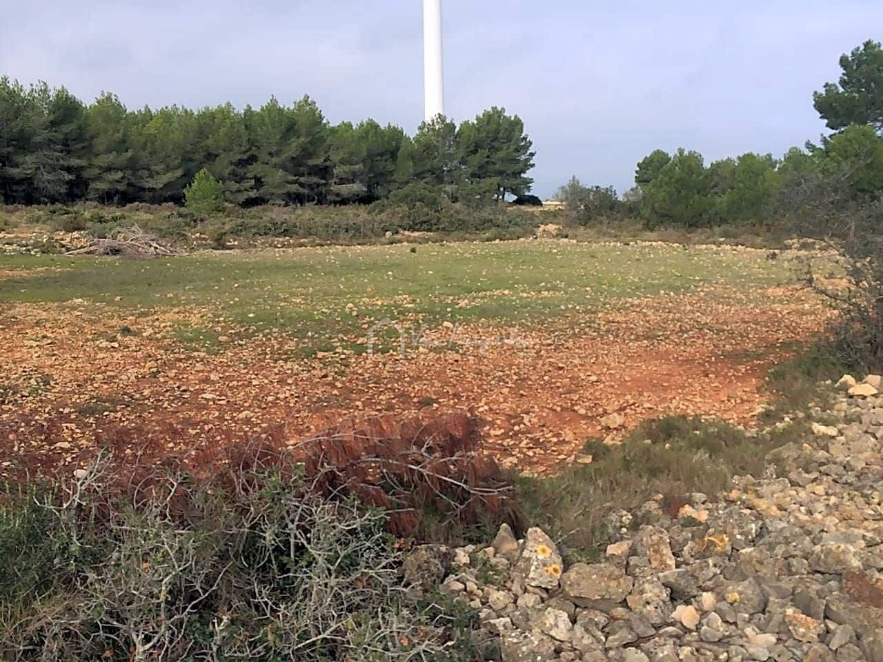 Undeveloped Land for sale in El Perello - € 48,000 (Ref: 7733908)