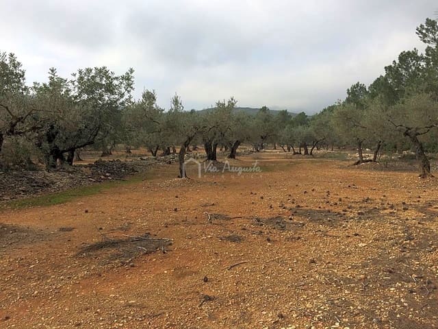 Undeveloped Land for sale in El Perelló - € 48,000 (Ref: 7733908)