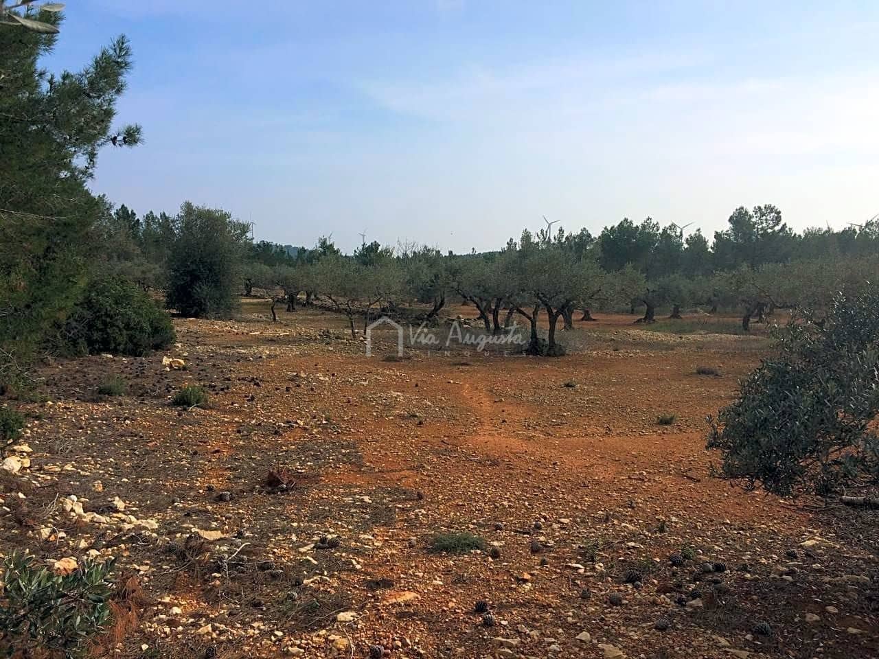 Undeveloped Land for sale in El Perello - € 48,000 (Ref: 7733908)