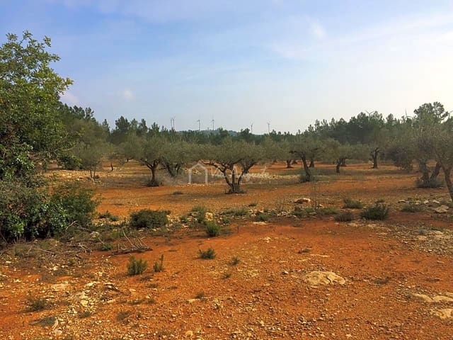Undeveloped Land for sale in El Perelló - € 48,000 (Ref: 7733908)