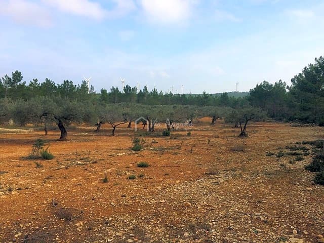 Undeveloped Land for sale in El Perelló - € 48,000 (Ref: 7733908)