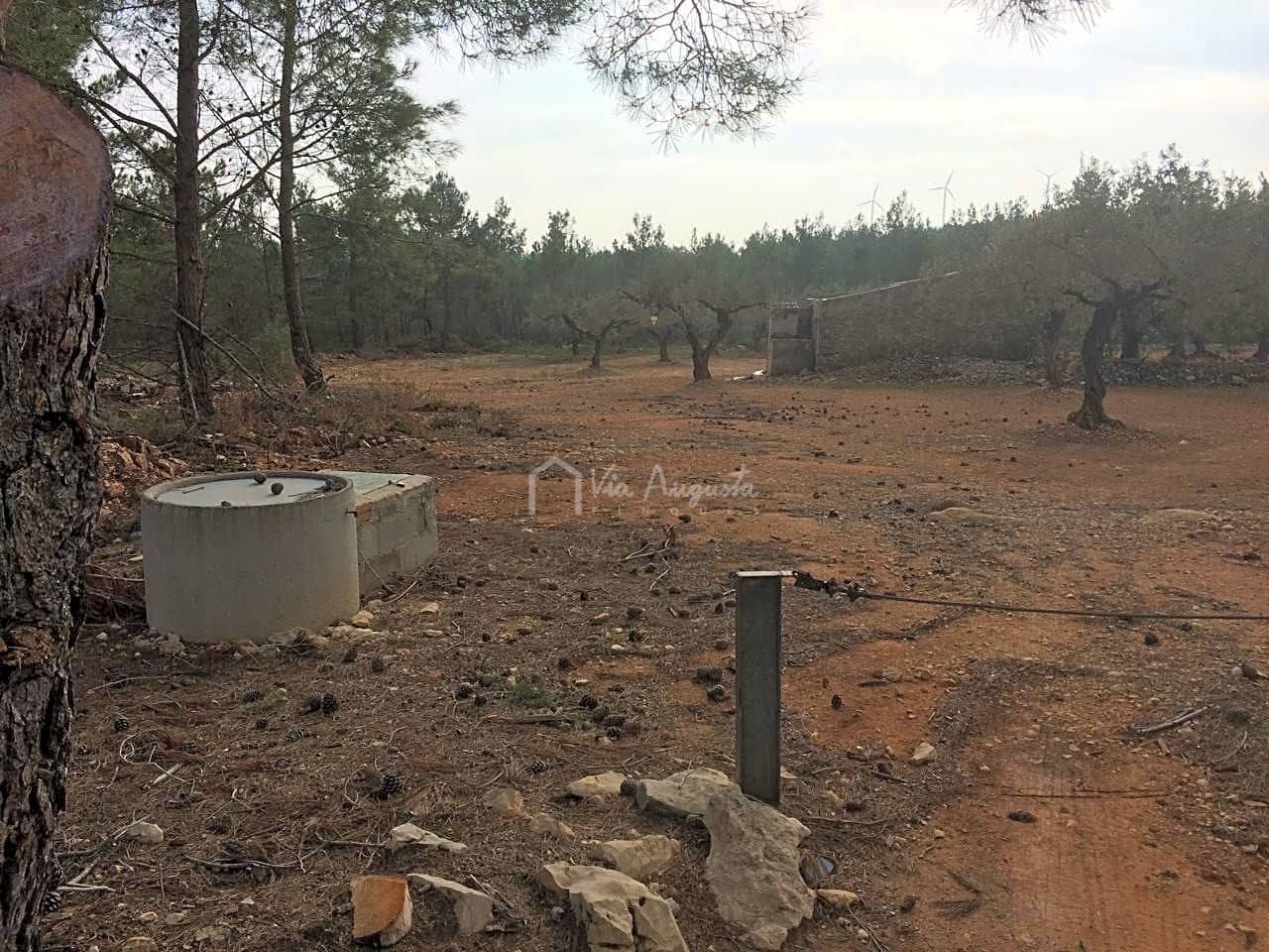 Undeveloped Land for sale in El Perello - € 48,000 (Ref: 7733908)