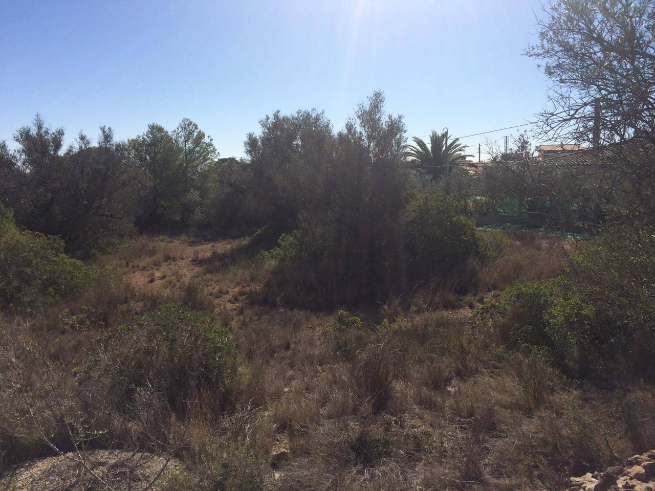 Mark till salu i El Perello - 120 000 € (Ref: 7737460)