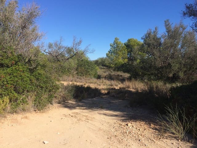 Grond te koop in El Perelló - € 120.000 (Ref: 7737460)