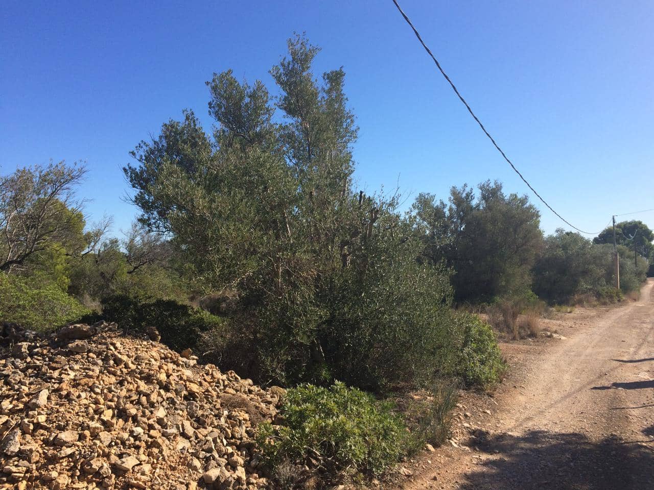 Mark till salu i El Perello - 120 000 € (Ref: 7737460)