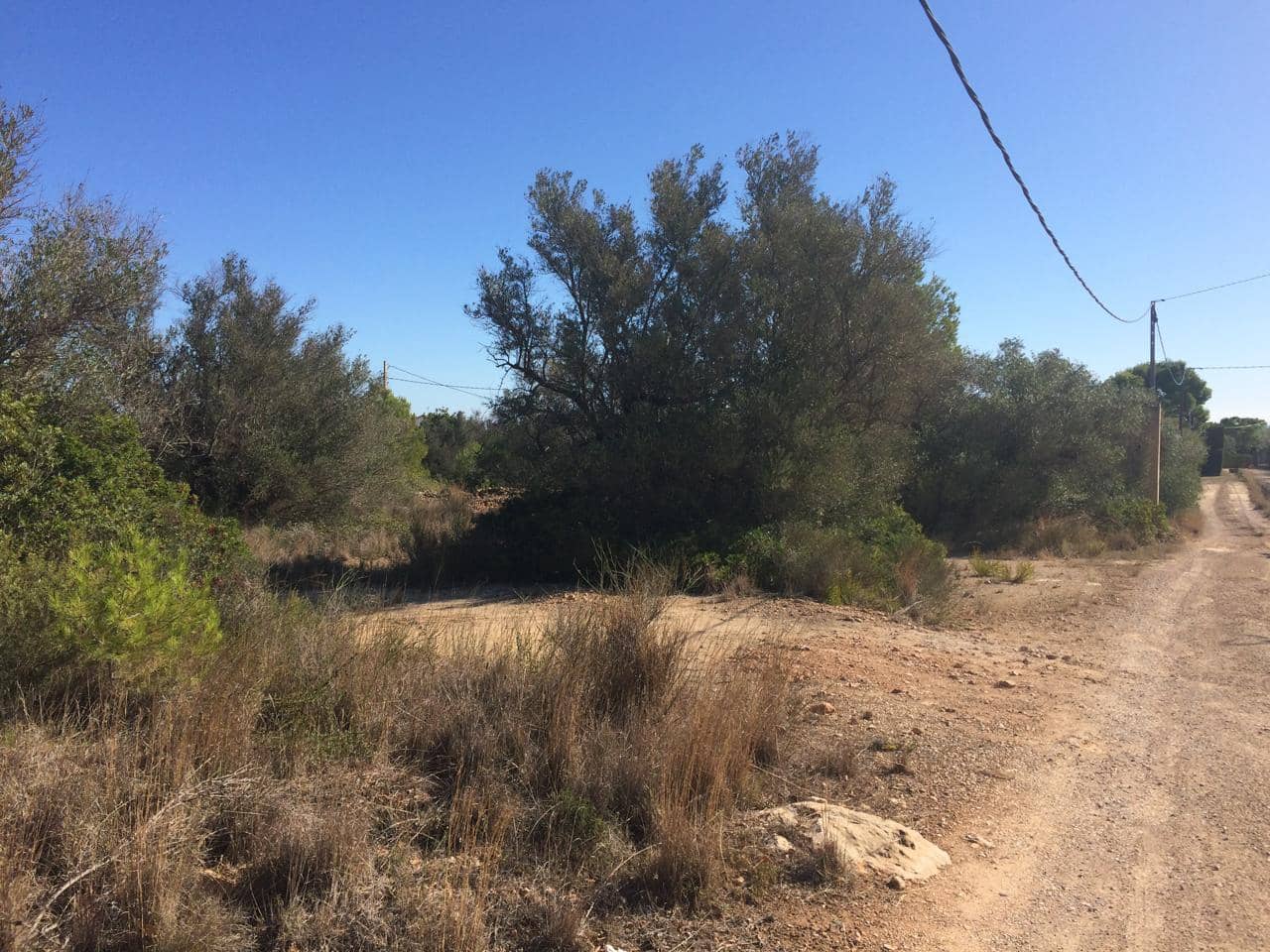 Mark till salu i El Perello - 120 000 € (Ref: 7737460)