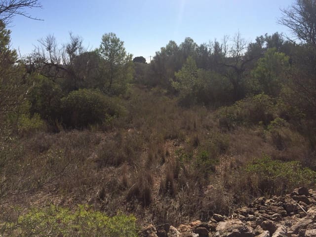 Grond te koop in El Perelló - € 120.000 (Ref: 7737460)