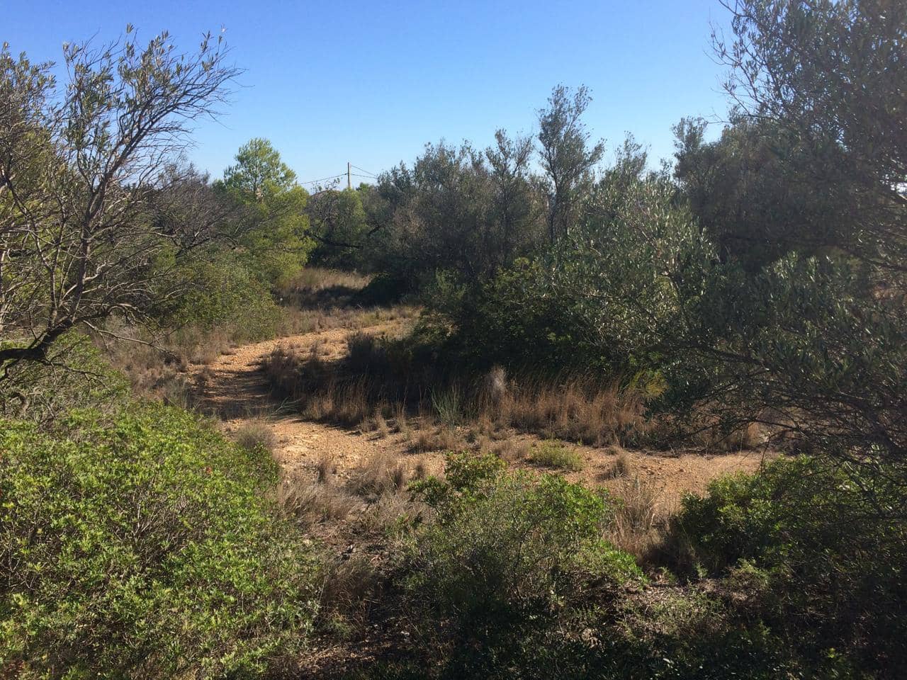 Mark till salu i El Perello - 120 000 € (Ref: 7737460)