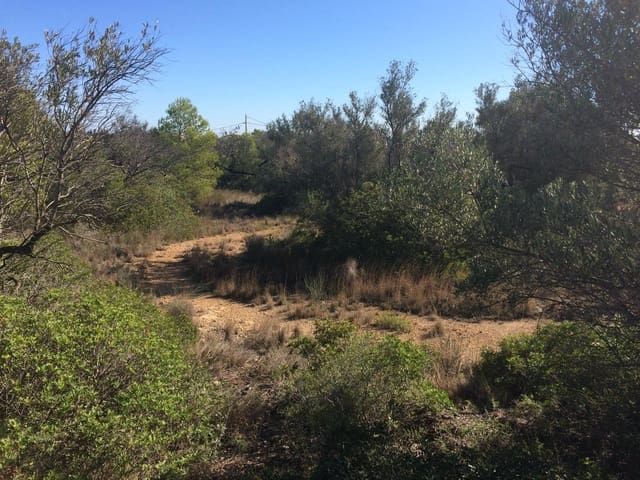 Grond te koop in El Perelló - € 120.000 (Ref: 7737460)