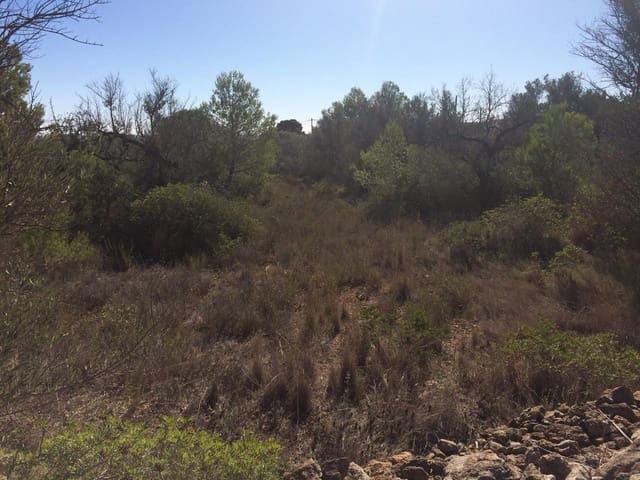 Grond te koop in El Perelló - € 120.000 (Ref: 7737460)