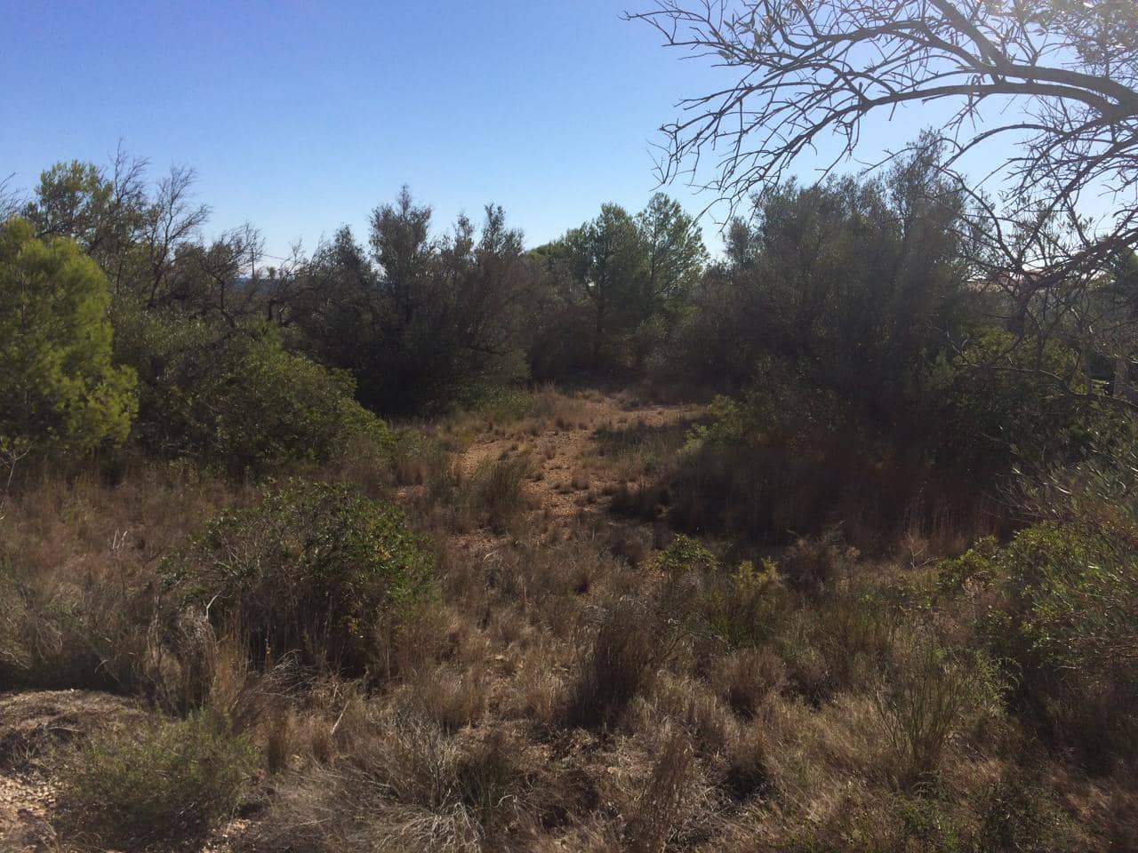 Mark till salu i El Perello - 120 000 € (Ref: 7737460)