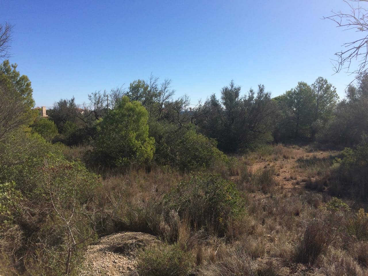 Mark till salu i El Perello - 120 000 € (Ref: 7737460)