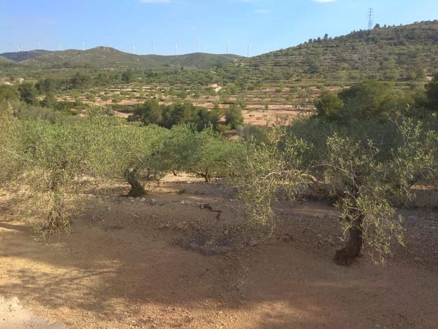 Undeveloped Land for sale in El Perelló - € 49,000 (Ref: 7738558)