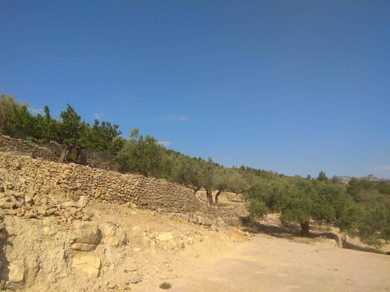 Undeveloped Land for sale in El Perello - € 49,000 (Ref: 7738558)
