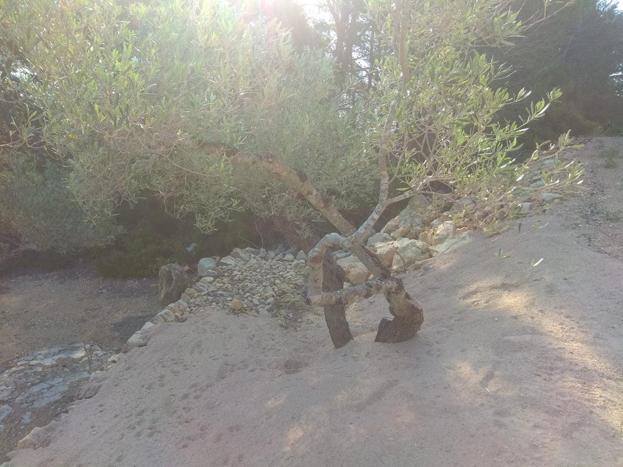 Undeveloped Land for sale in El Perello - € 49,000 (Ref: 7738558)