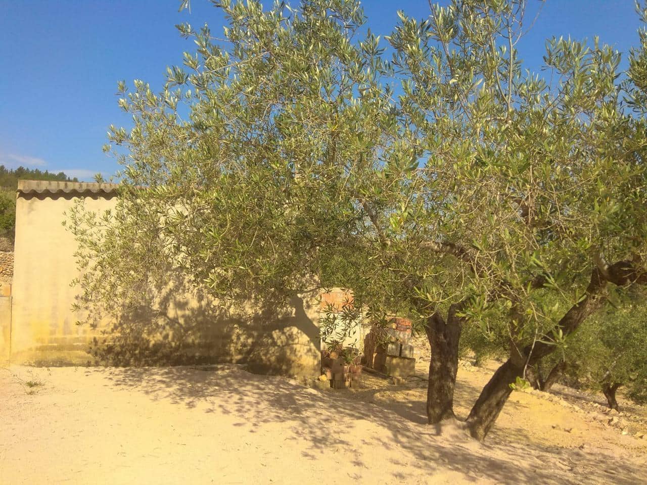 Undeveloped Land for sale in El Perello - € 49,000 (Ref: 7738558)