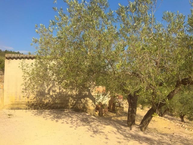 Undeveloped Land for sale in El Perelló - € 49,000 (Ref: 7738558)