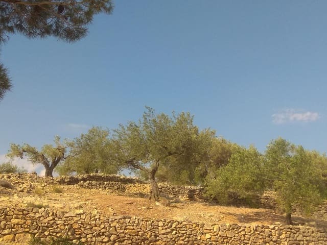 Undeveloped Land for sale in El Perelló - € 49,000 (Ref: 7738558)