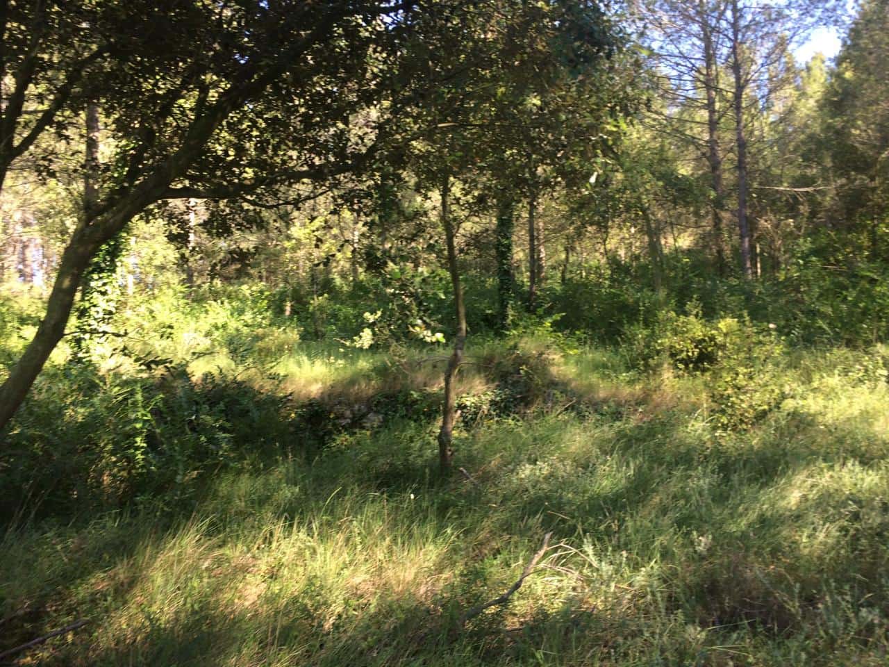 Grunde uden byggetilladelser til salg i Vandellos - € 50.000 (Ref: 7738559)