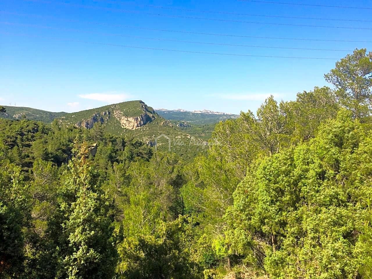 Grunde uden byggetilladelser til salg i Vandellos - € 50.000 (Ref: 7738559)