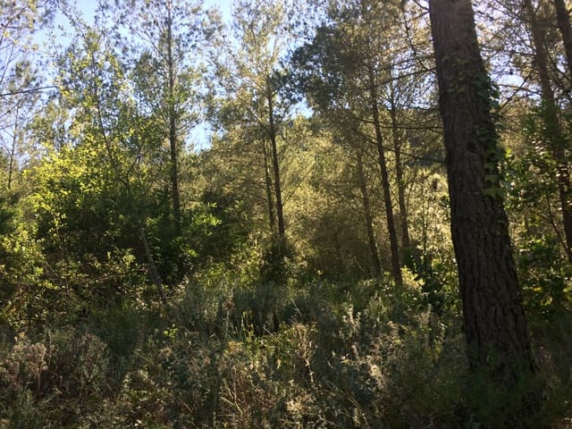 Undeveloped Land for sale in Vandellos, Vandellòs i l'Hospitalet de l'Infant - € 50,000 (Ref: 7738559)