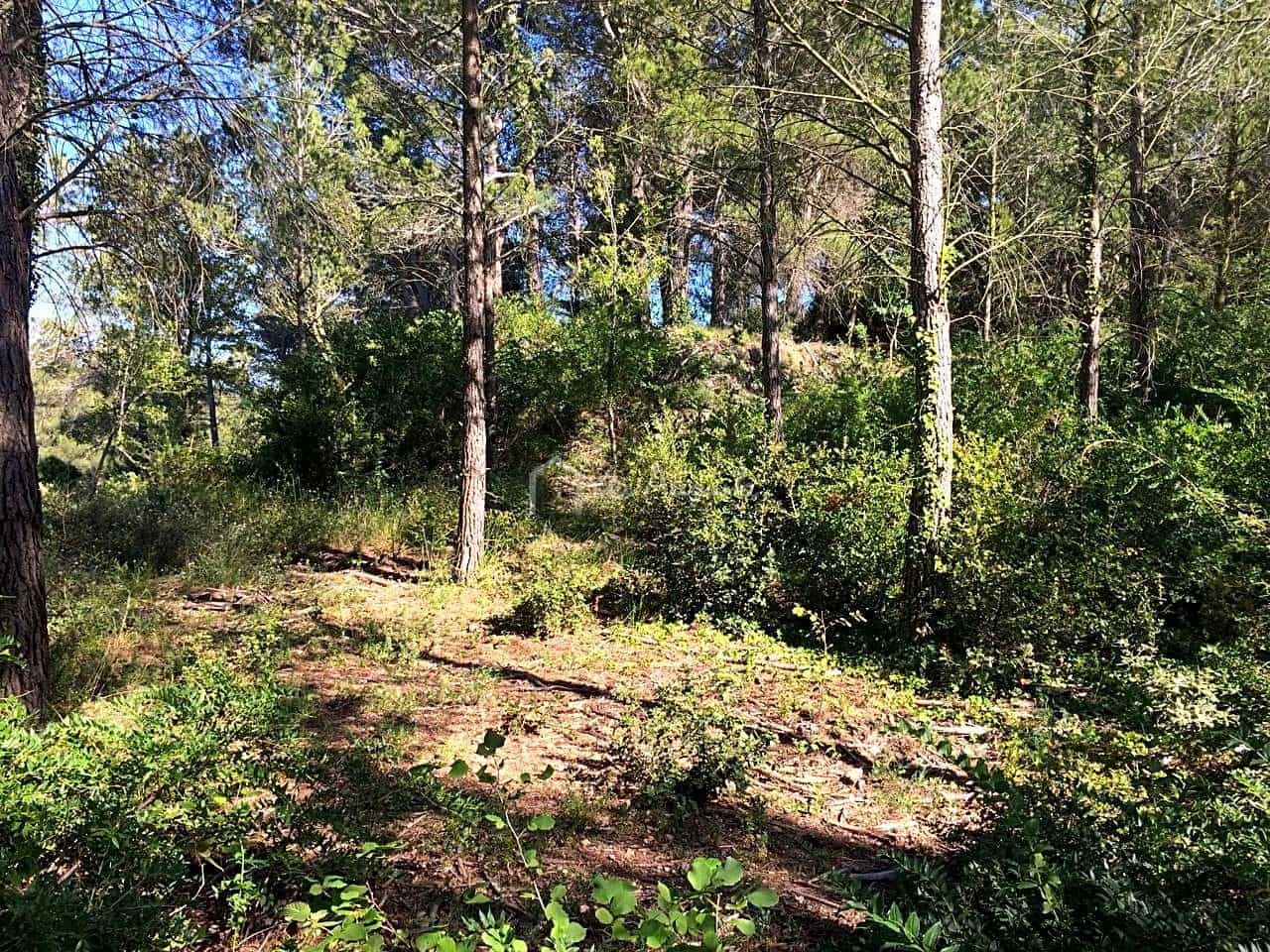 Grunde uden byggetilladelser til salg i Vandellos - € 50.000 (Ref: 7738559)