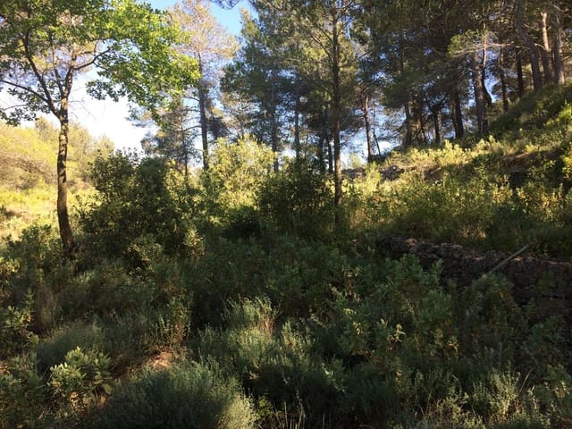 Undeveloped Land for sale in Vandellos, Vandellòs i l'Hospitalet de l'Infant - € 50,000 (Ref: 7738559)