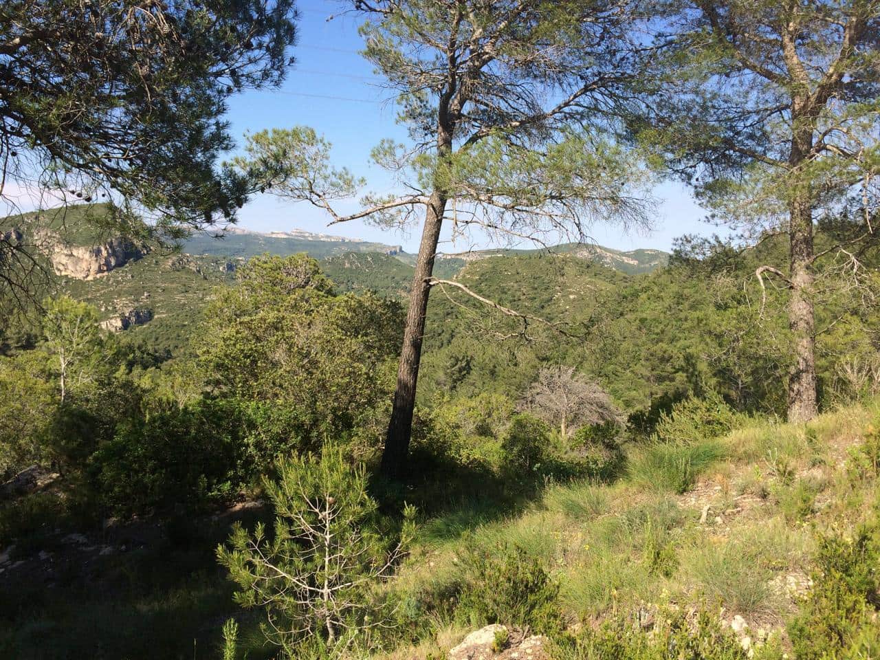 Grunde uden byggetilladelser til salg i Vandellos - € 50.000 (Ref: 7738559)