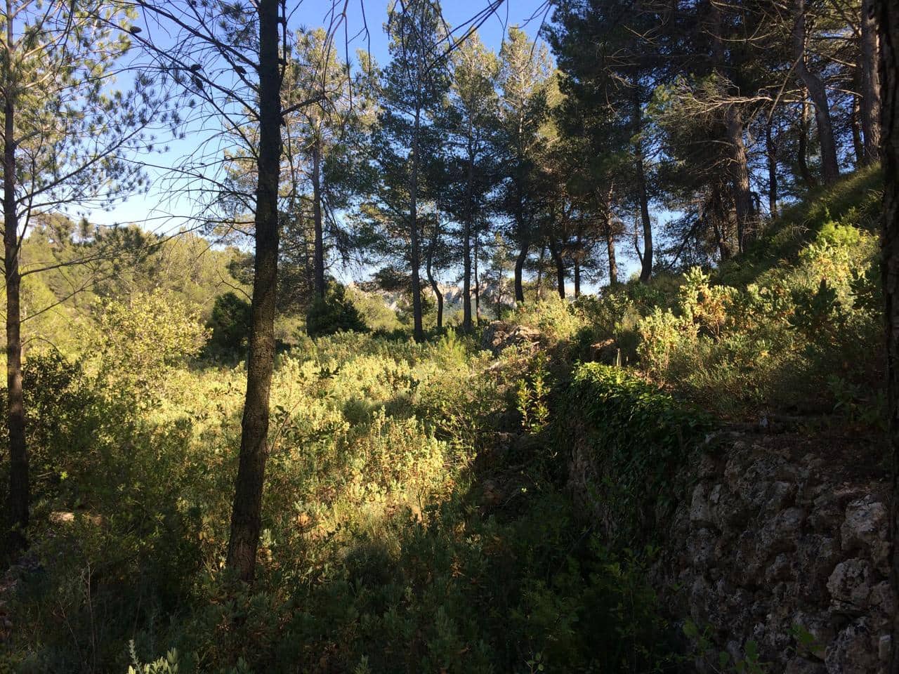 Grunde uden byggetilladelser til salg i Vandellos - € 50.000 (Ref: 7738559)