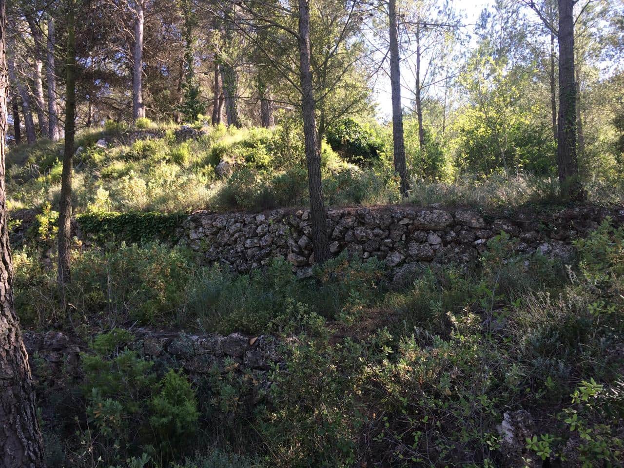 Grunde uden byggetilladelser til salg i Vandellos - € 50.000 (Ref: 7738559)