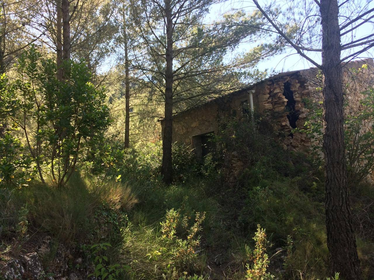 Terreno/Finca Rústica en Vandellos en venta - 50.000 € (Ref: 7738559)