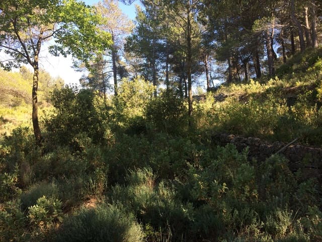 Terre non Aménagée à vendre à Vandellos, Vandellòs i l'Hospitalet de l'Infant - 50 000 € (Ref: 7738559)