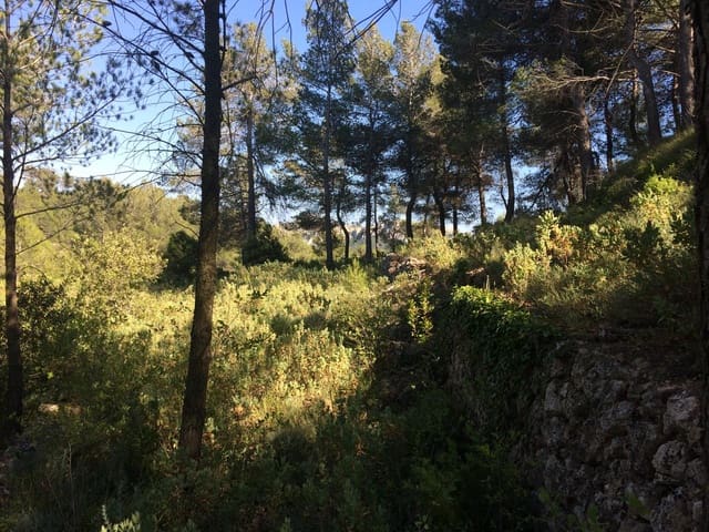 Terre non Aménagée à vendre à Vandellos, Vandellòs i l'Hospitalet de l'Infant - 50 000 € (Ref: 7738559)