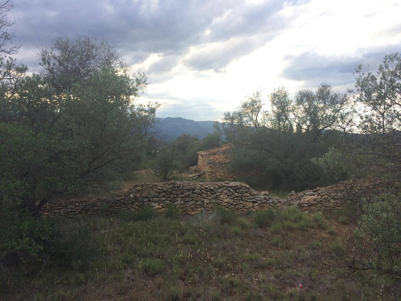 Grunde uden byggetilladelser til salg i Tivenys - € 39.000 (Ref: 7738560)