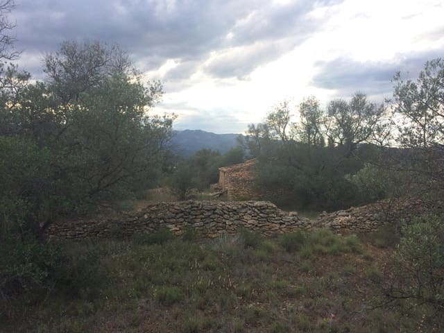 Rakentamaton maa myytävänä paikassa Tivenys - 39 000 € (Ref: 7738560)