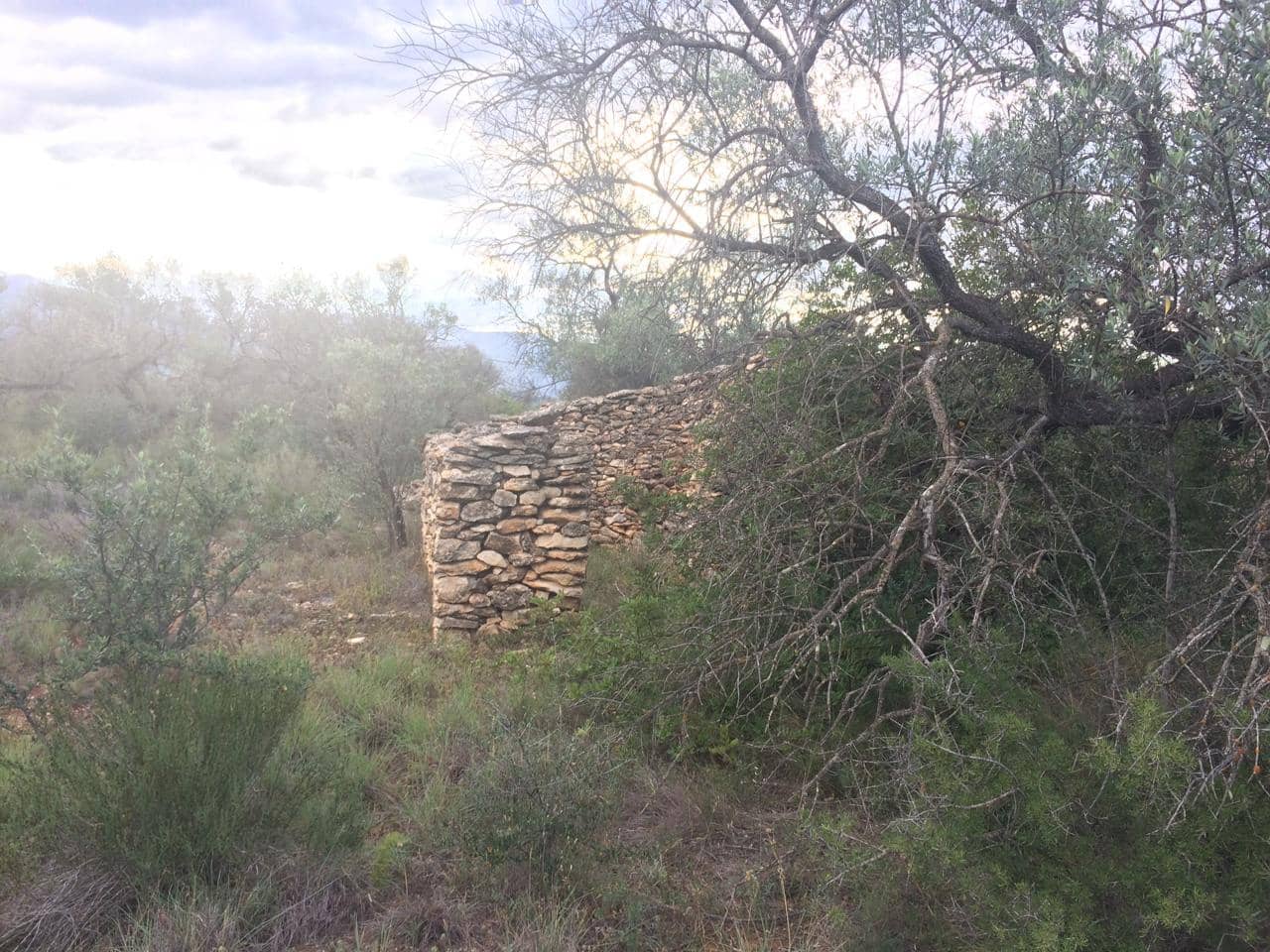 Grunde uden byggetilladelser til salg i Tivenys - € 39.000 (Ref: 7738560)