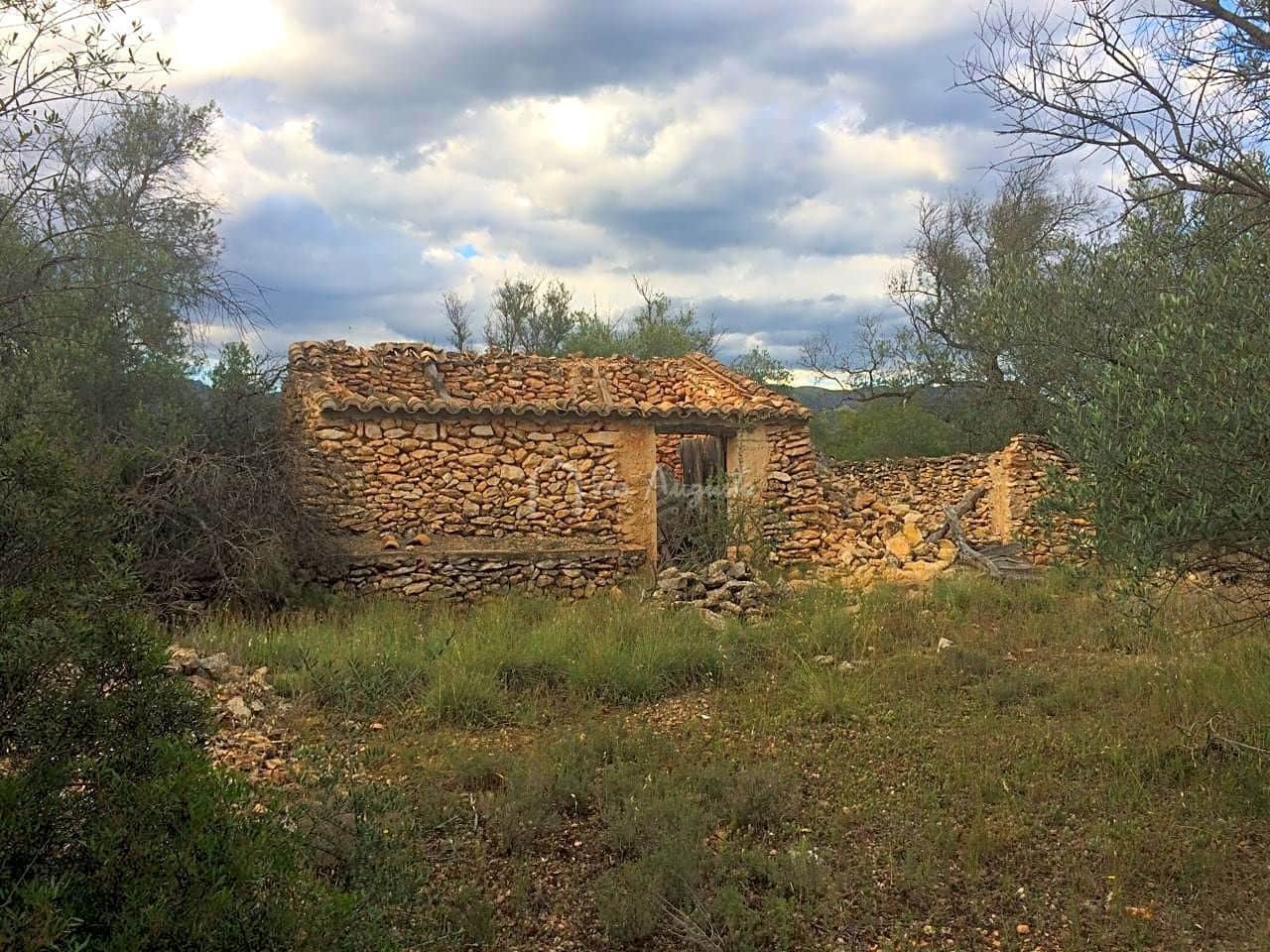 Grunde uden byggetilladelser til salg i Tivenys - € 39.000 (Ref: 7738560)