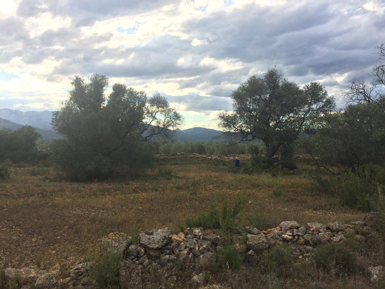 Grunde uden byggetilladelser til salg i Tivenys - € 39.000 (Ref: 7738560)