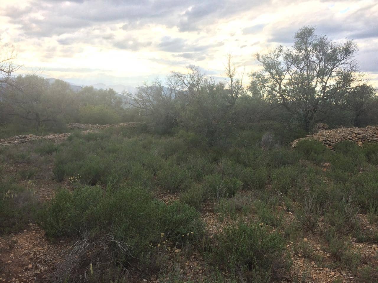 Grunde uden byggetilladelser til salg i Tivenys - € 39.000 (Ref: 7738560)