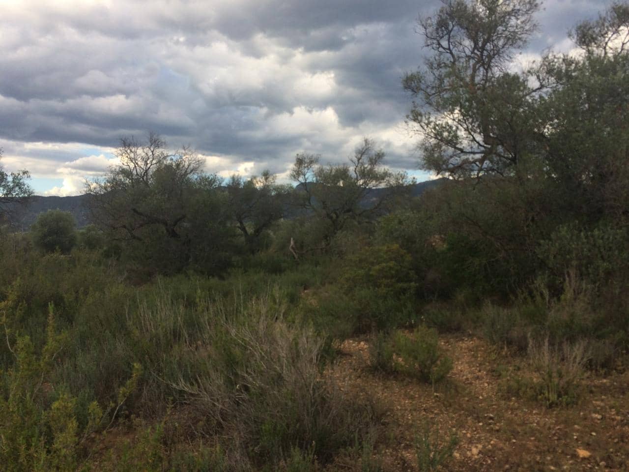 Grunde uden byggetilladelser til salg i Tivenys - € 39.000 (Ref: 7738560)