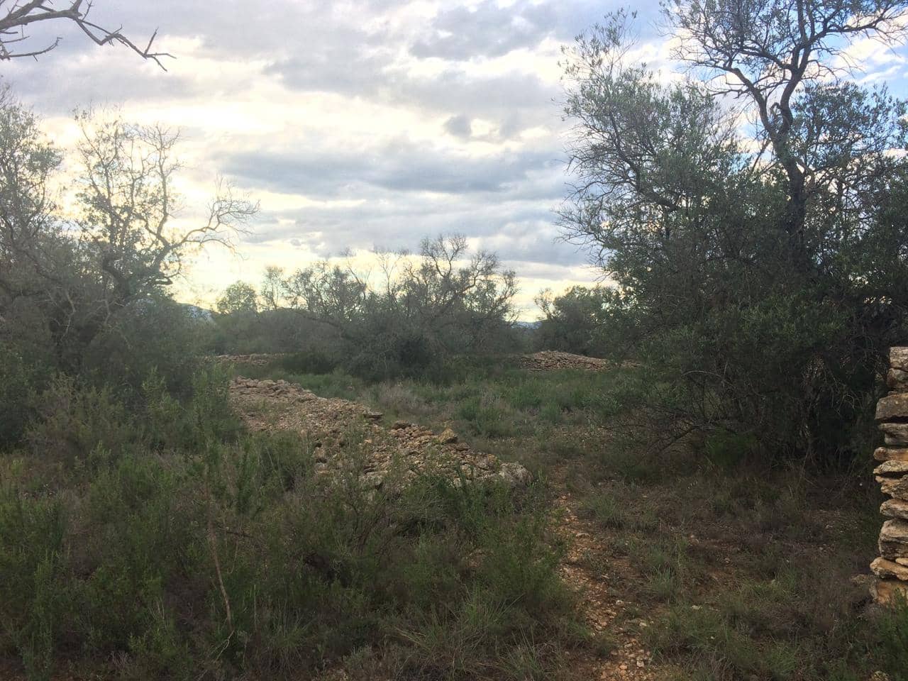 Grunde uden byggetilladelser til salg i Tivenys - € 39.000 (Ref: 7738560)