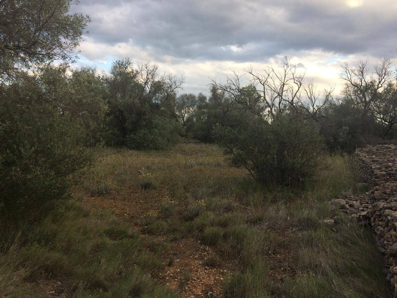 Grunde uden byggetilladelser til salg i Tivenys - € 39.000 (Ref: 7738560)