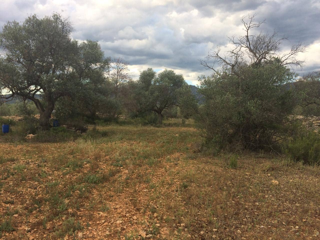 Grunde uden byggetilladelser til salg i Tivenys - € 39.000 (Ref: 7738560)