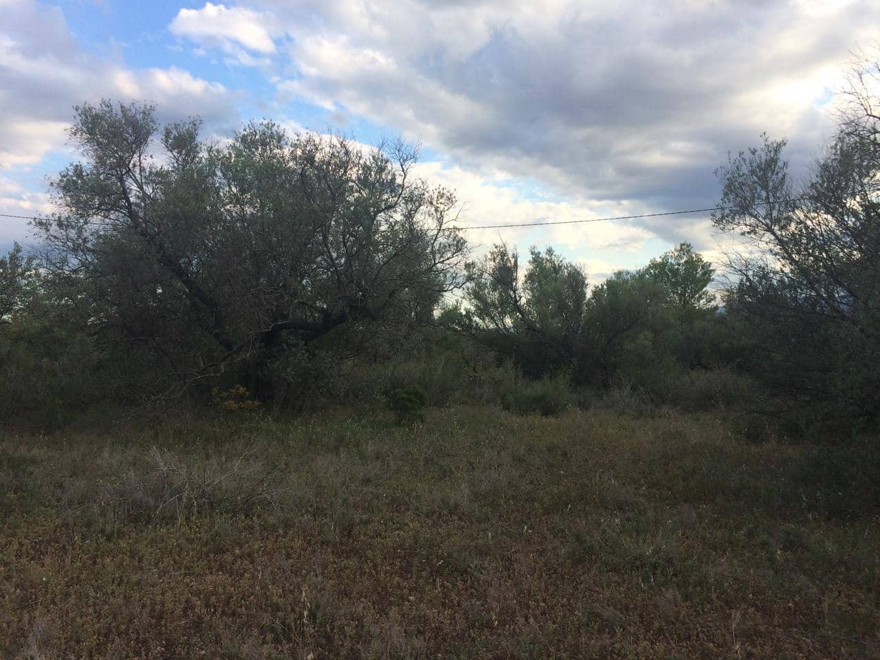 Grunde uden byggetilladelser til salg i Tivenys - € 39.000 (Ref: 7738560)