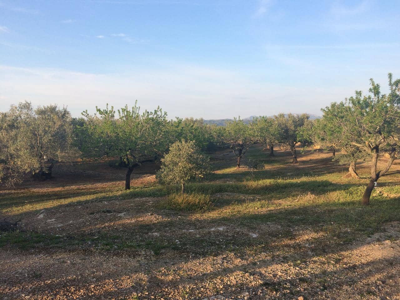 Ubebygd land til salgs i El Perello - € 50 000 (Ref: 7738562)