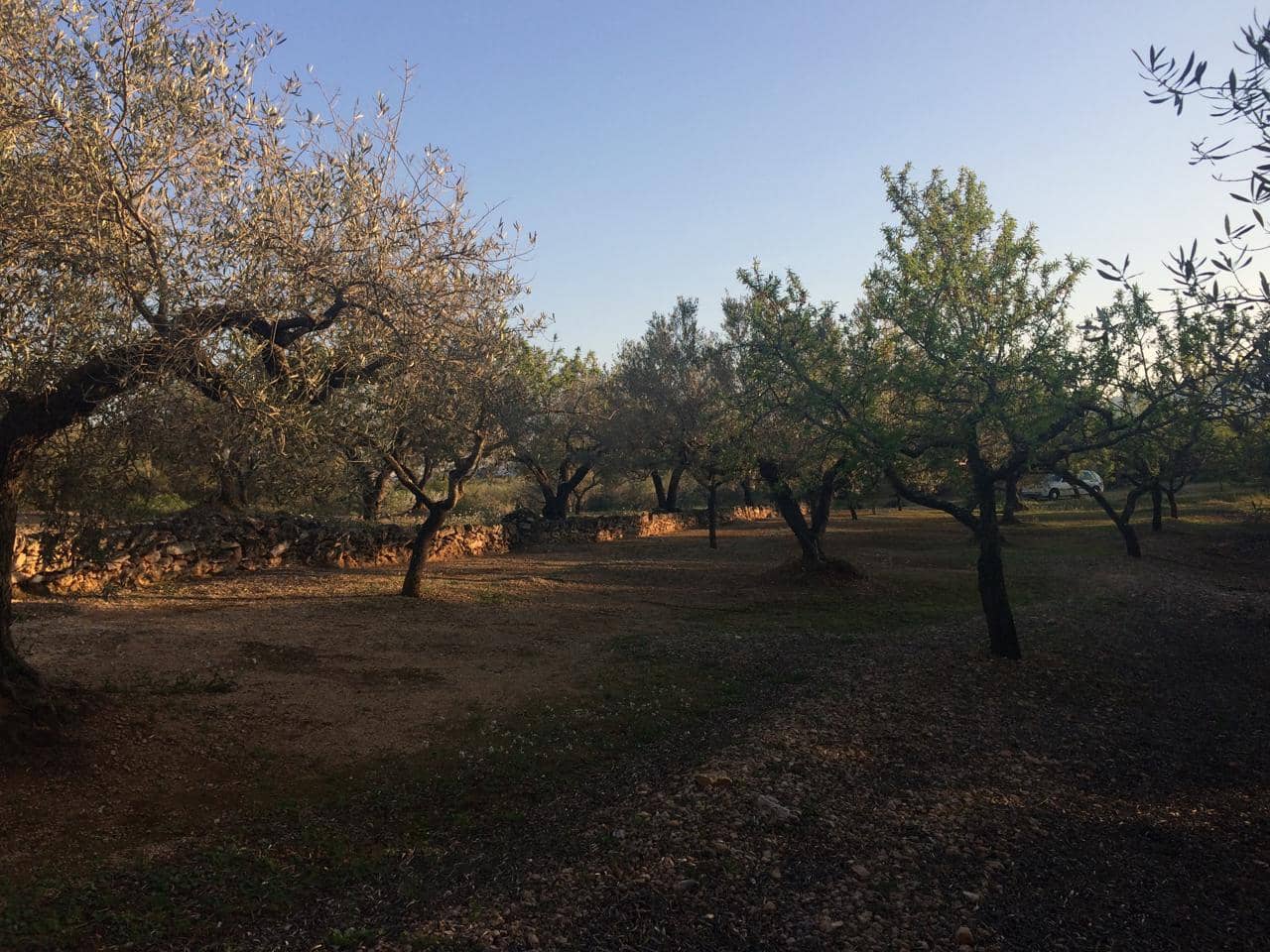 Ubebygd land til salgs i El Perello - € 50 000 (Ref: 7738562)