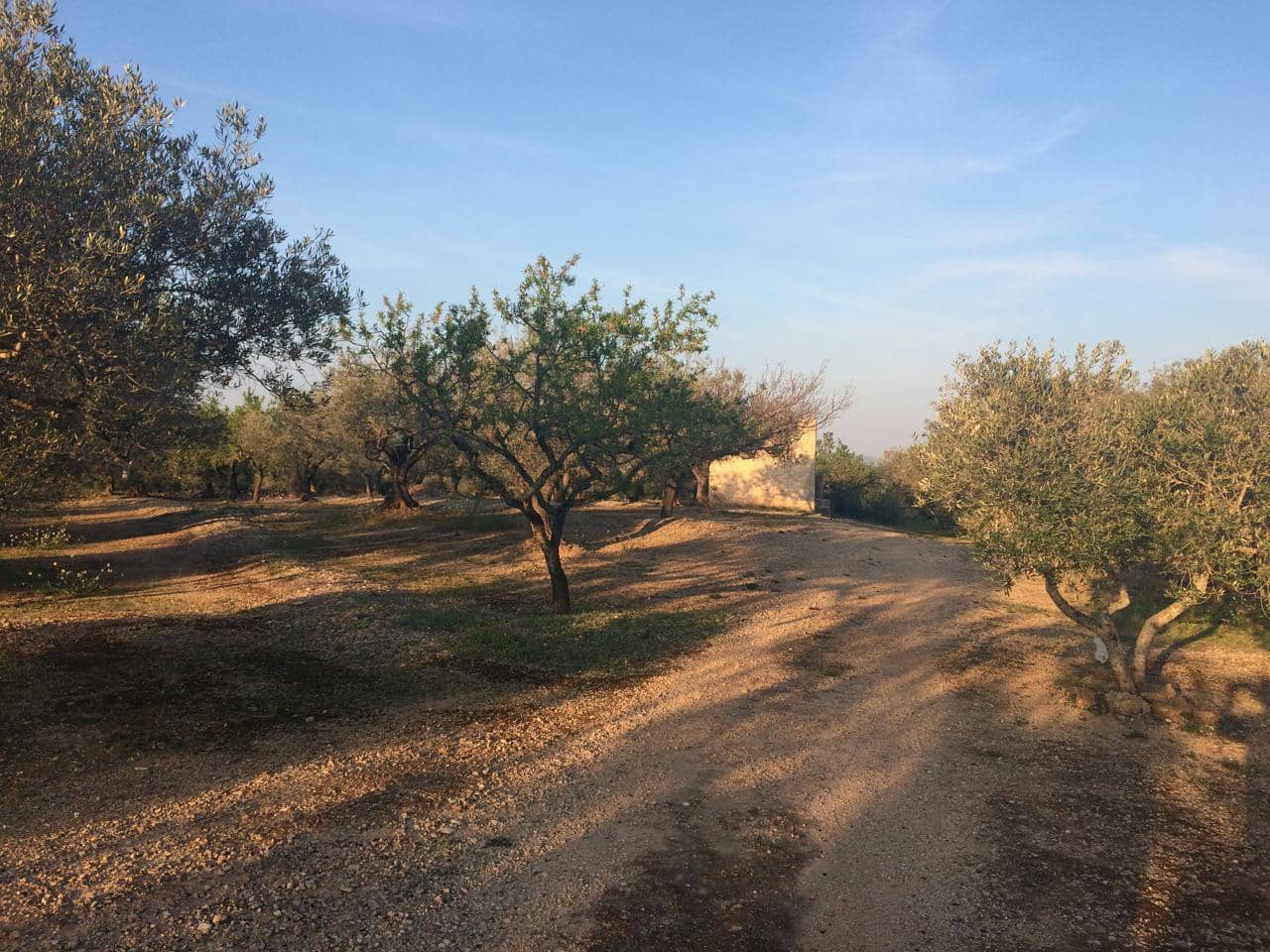 Ubebygd land til salgs i El Perello - € 50 000 (Ref: 7738562)