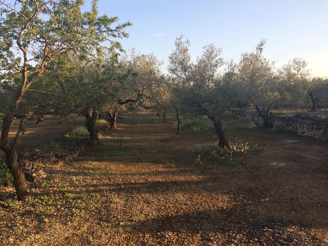 Terre non Aménagée à vendre à El Perelló - 50 000 € (Ref: 7738562)