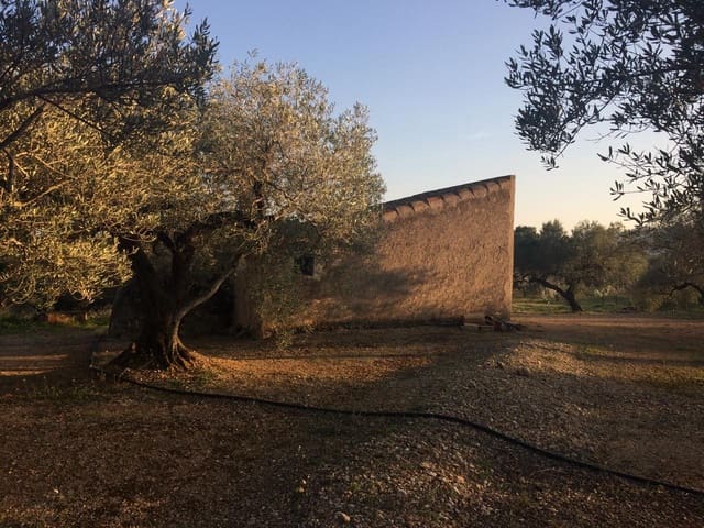 Terre non Aménagée à vendre à El Perelló - 50 000 € (Ref: 7738562)